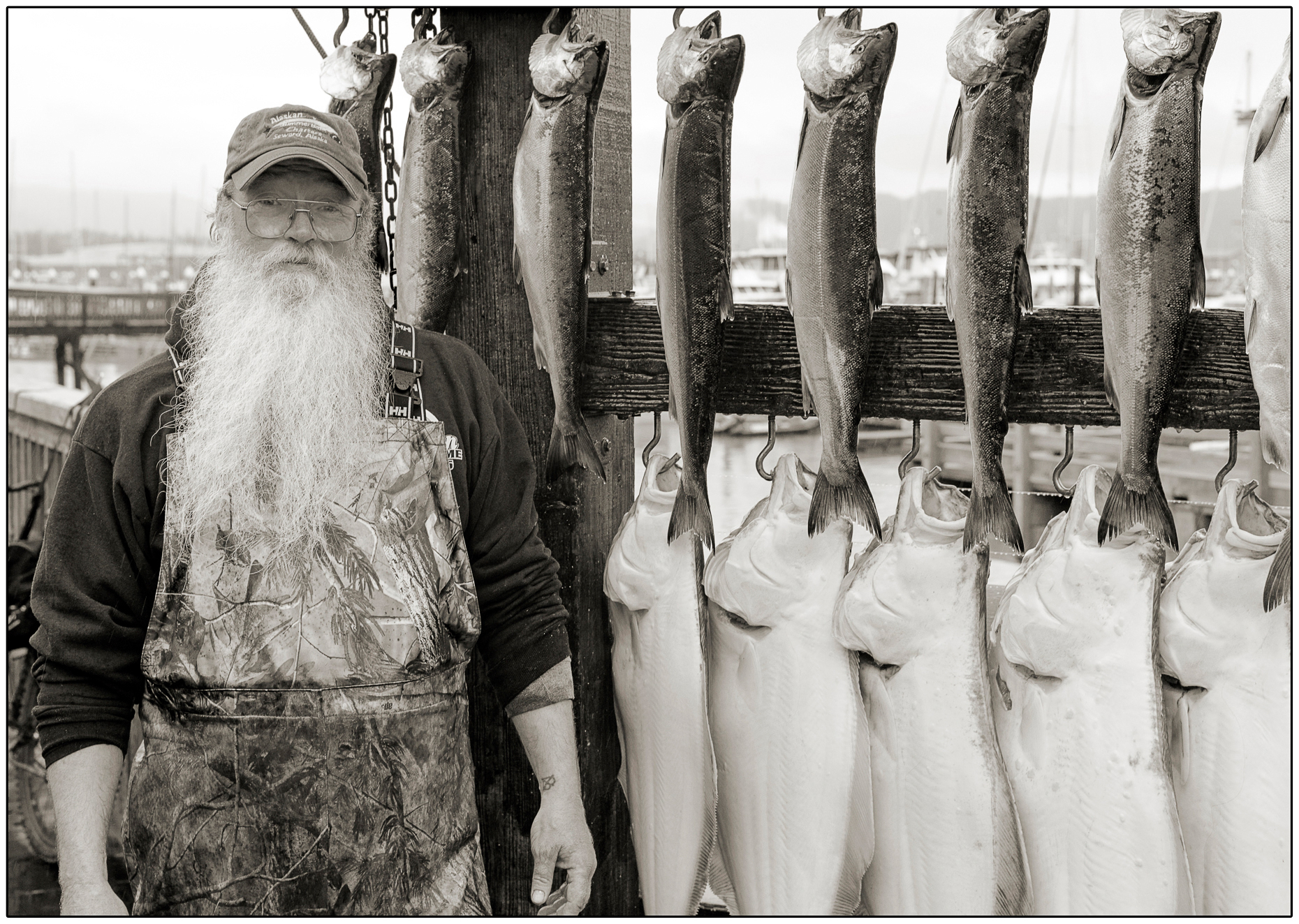 Black & white portrait of charter fishing boat captain with catch of the day, Seward, Alaska, USA