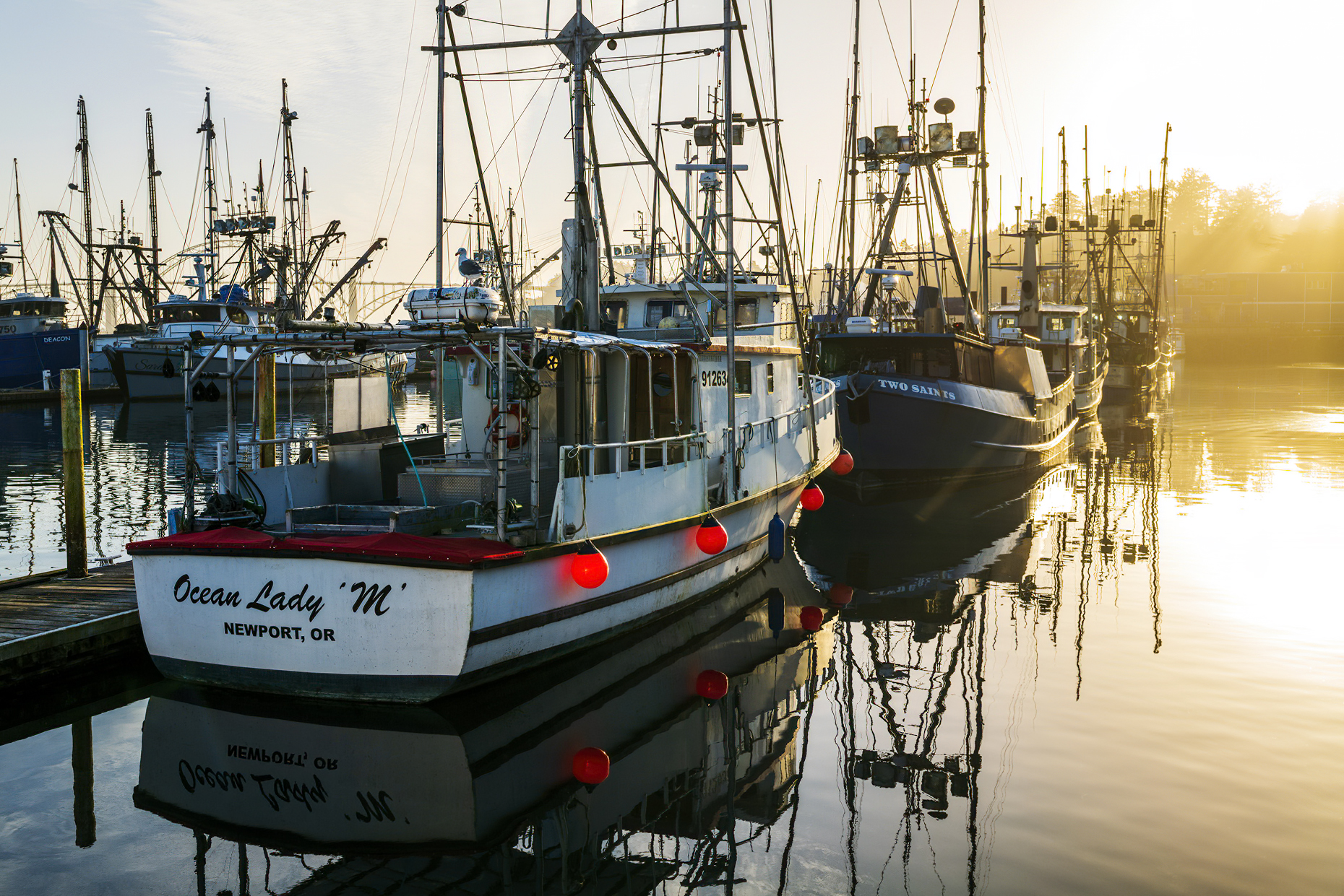 Fishing boats at dock; harbor; Newport; Oregon; USA