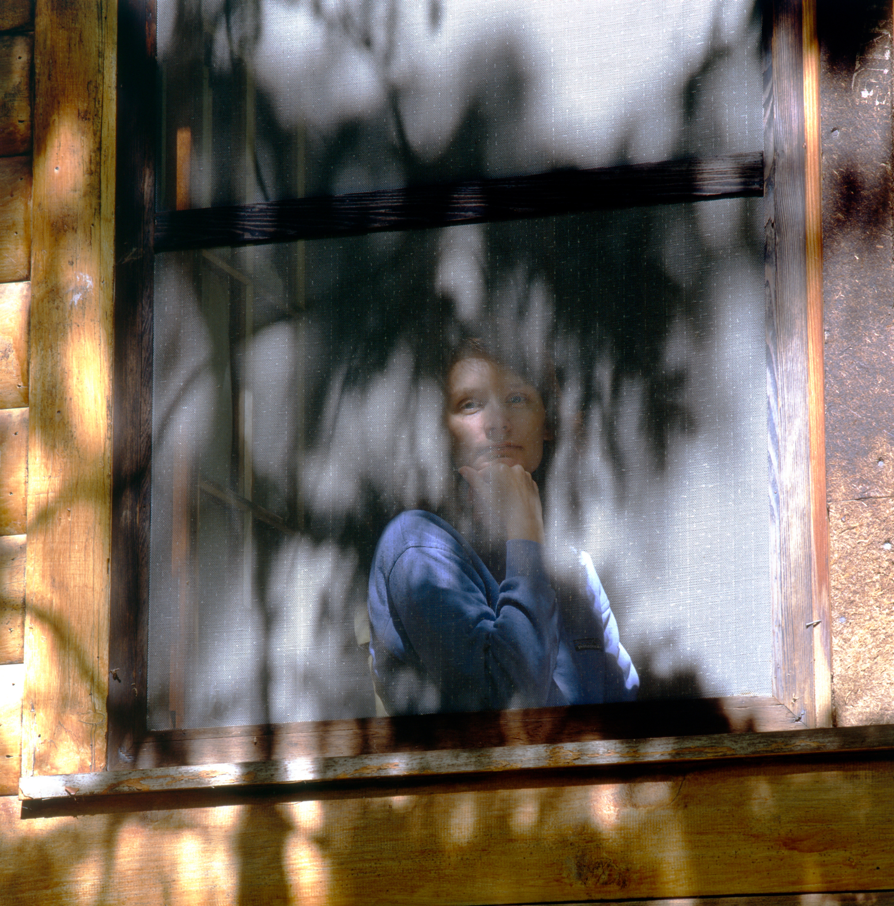 Sun dappled portrait of a young woman viewed through the screene