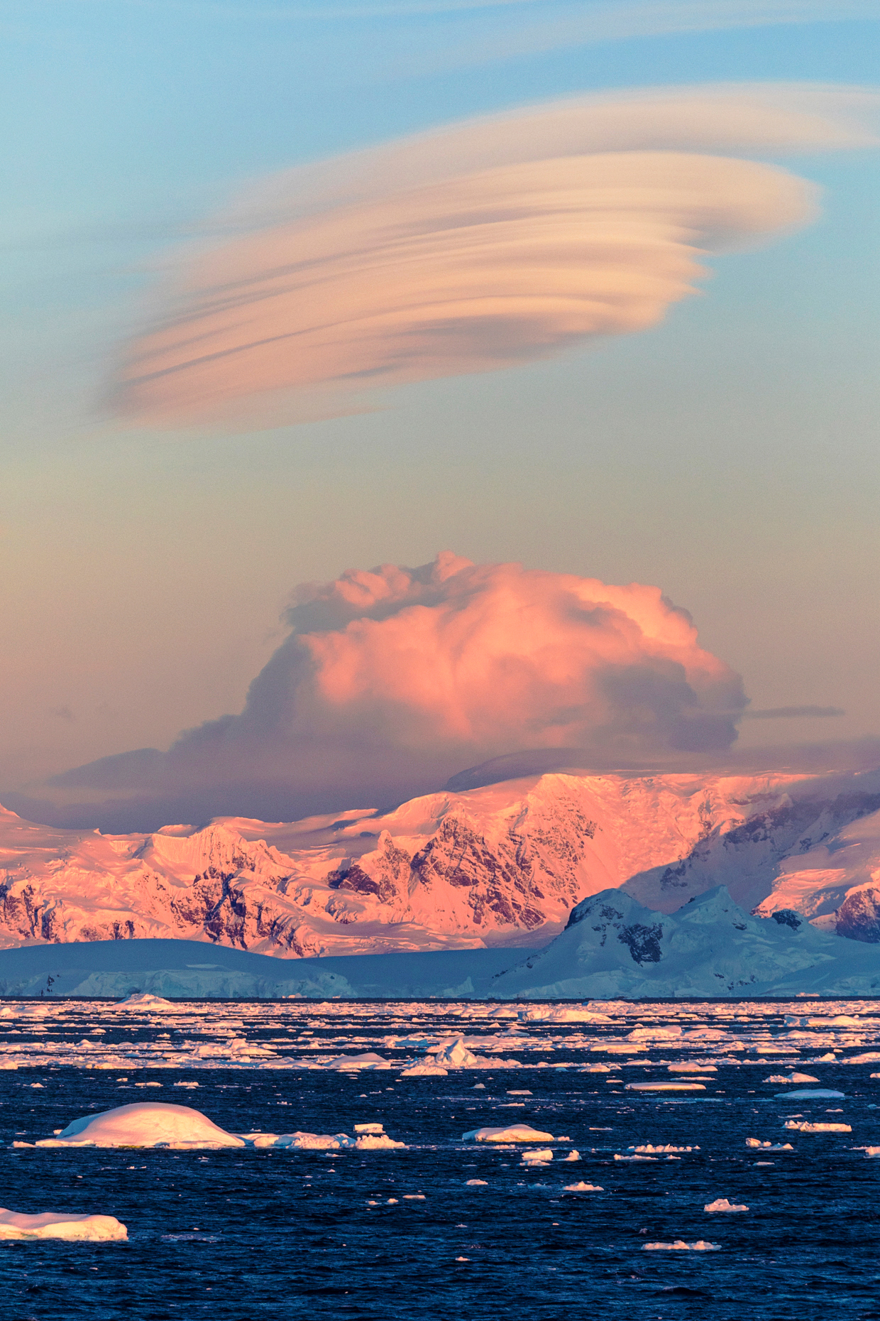 Sea ice & icebergs; Antarctica landscape; Rongé Island; Arctowski Peninsula