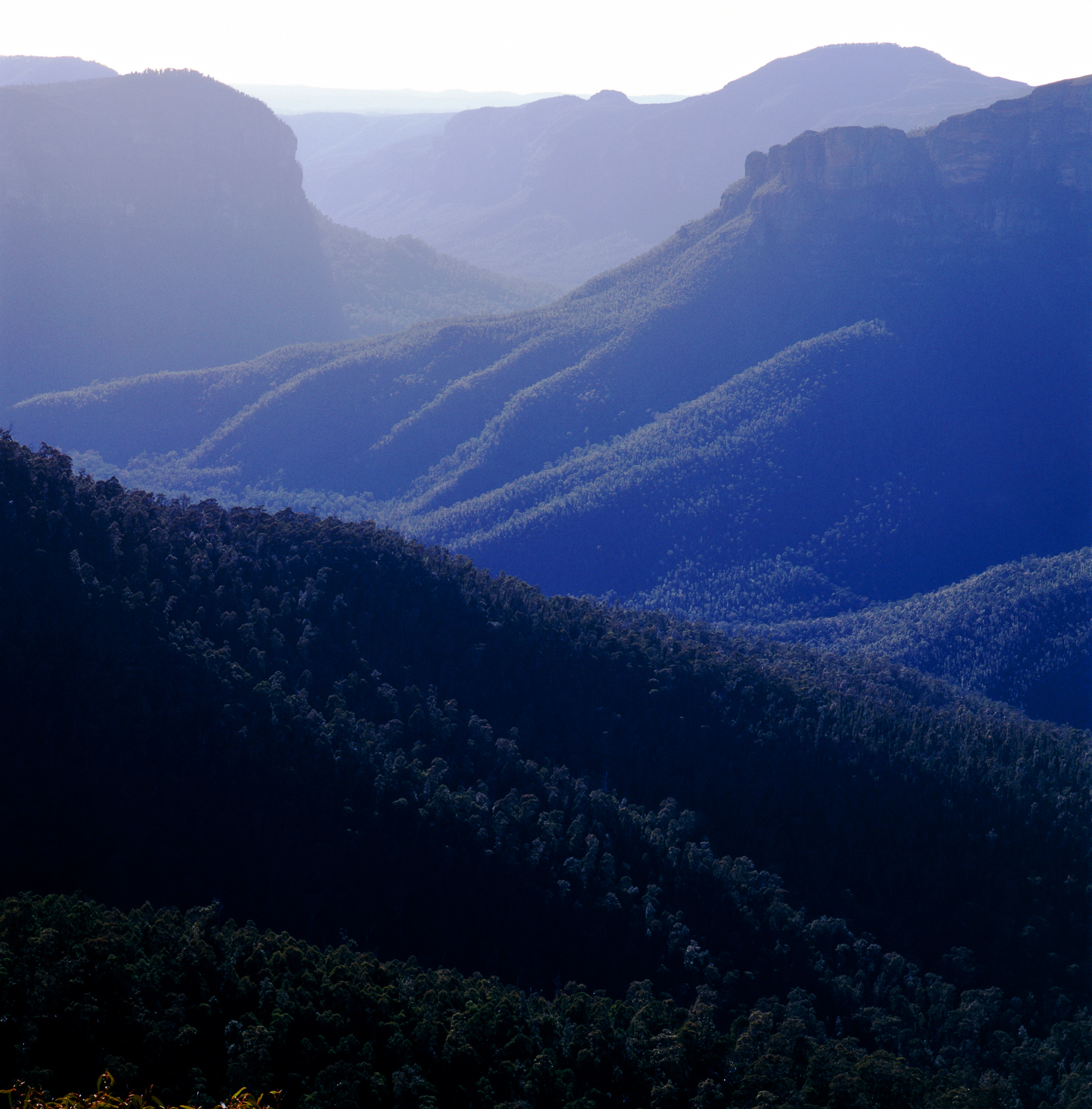 Govetts Gorge from Govetts Leap Lookout, Blue Mountains National