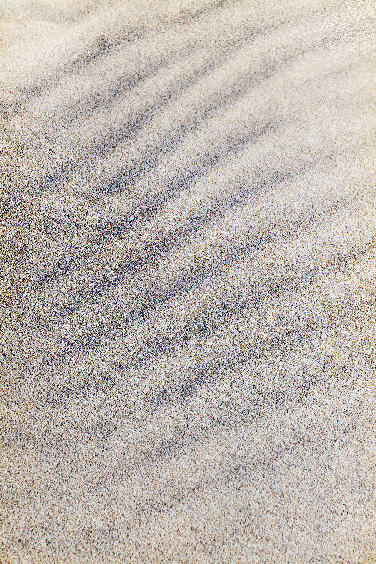 Close-up of wind carved patterns in beach sand; Pacific Ocean; Newport; Oregon; USA