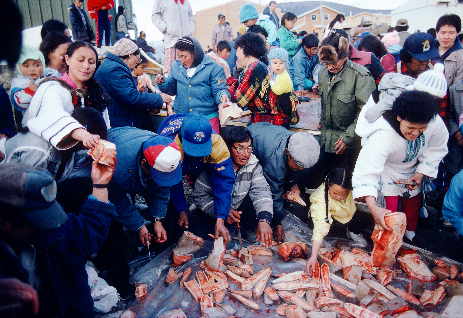 Inuit families in the small arctic village of Pangnirtung pick f