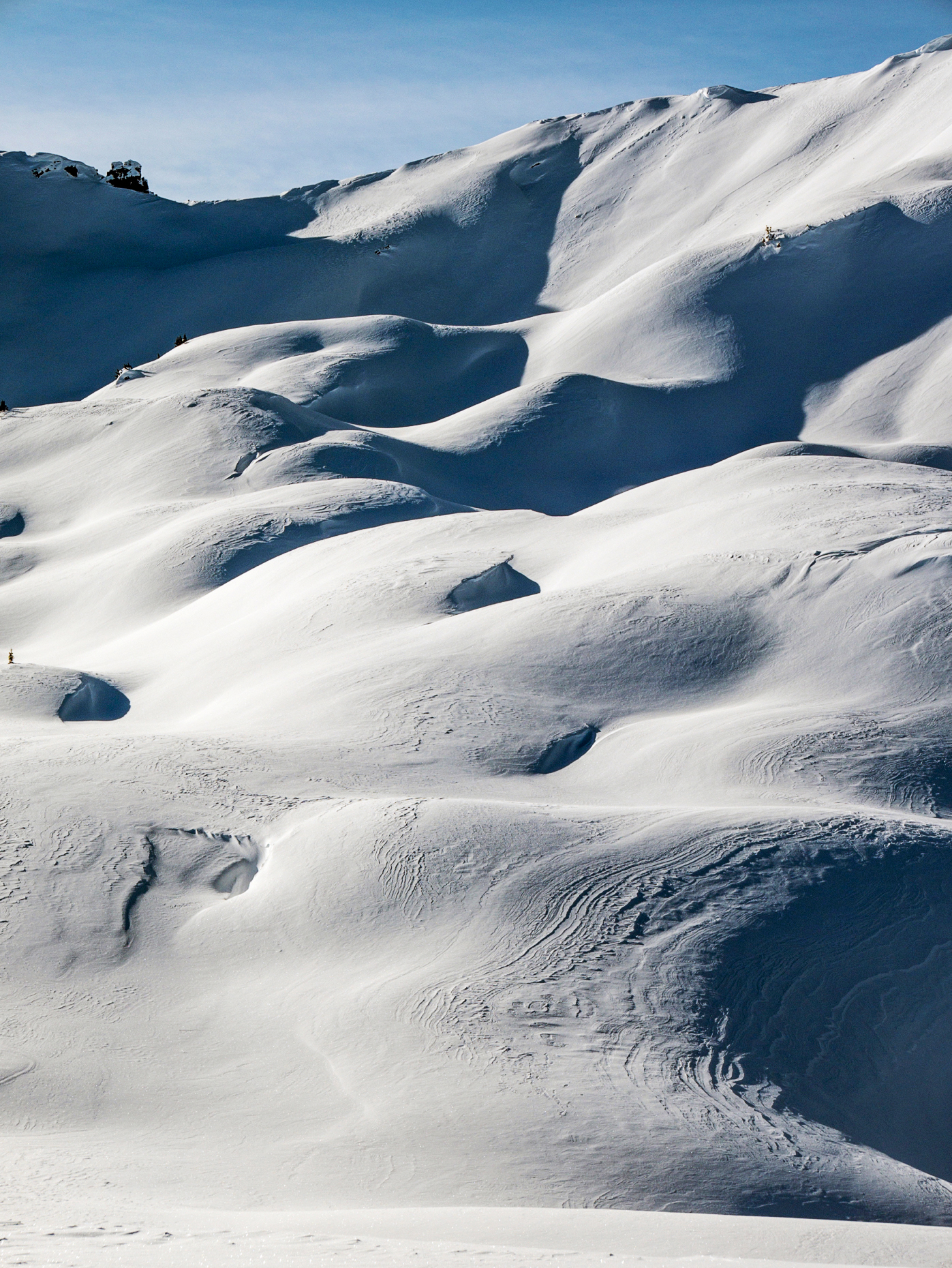 Snowy winter landscape; Esplanade Range; Selkirk Range; British Columbia; Canada