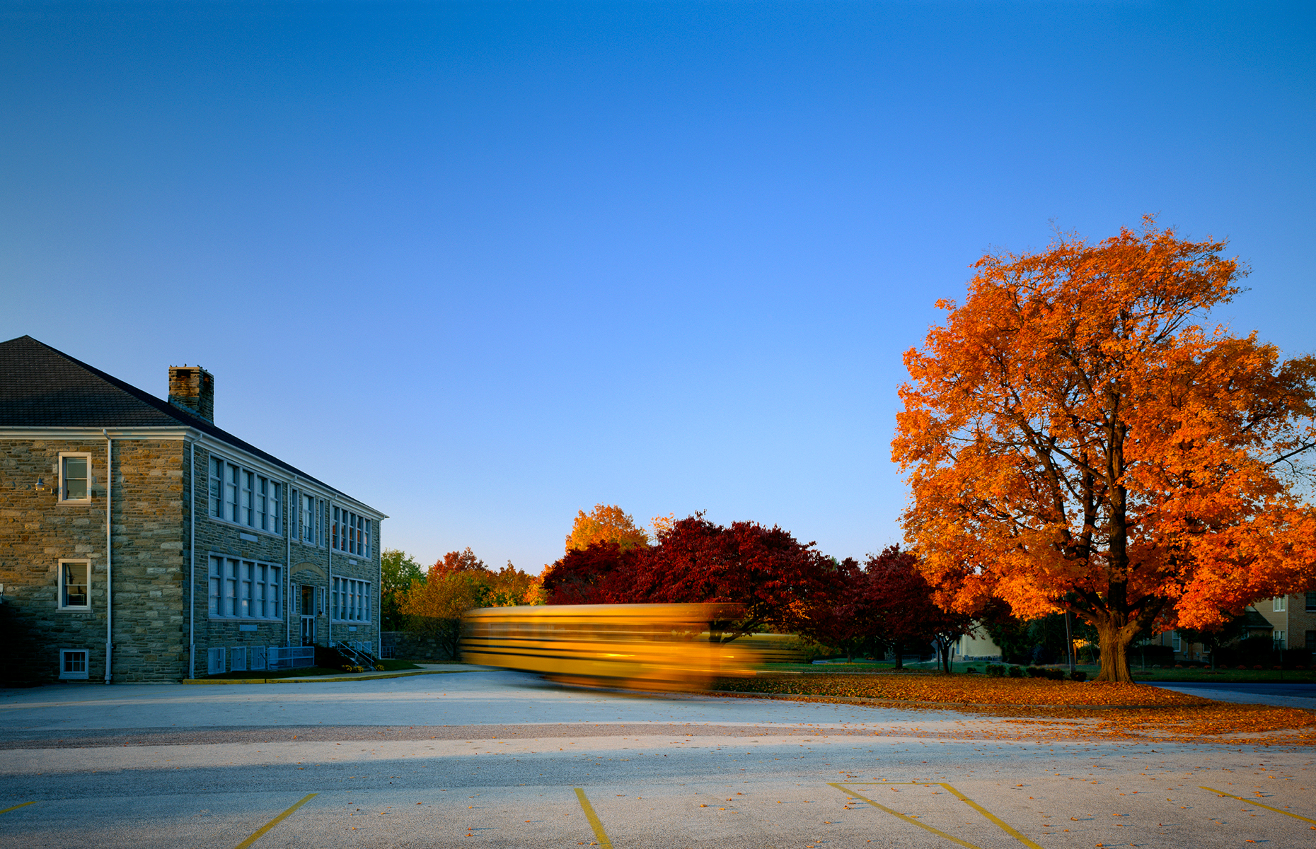 School bus goes by an elementary school in a blur of motion.  A large oak tree is in full autumn foliage.