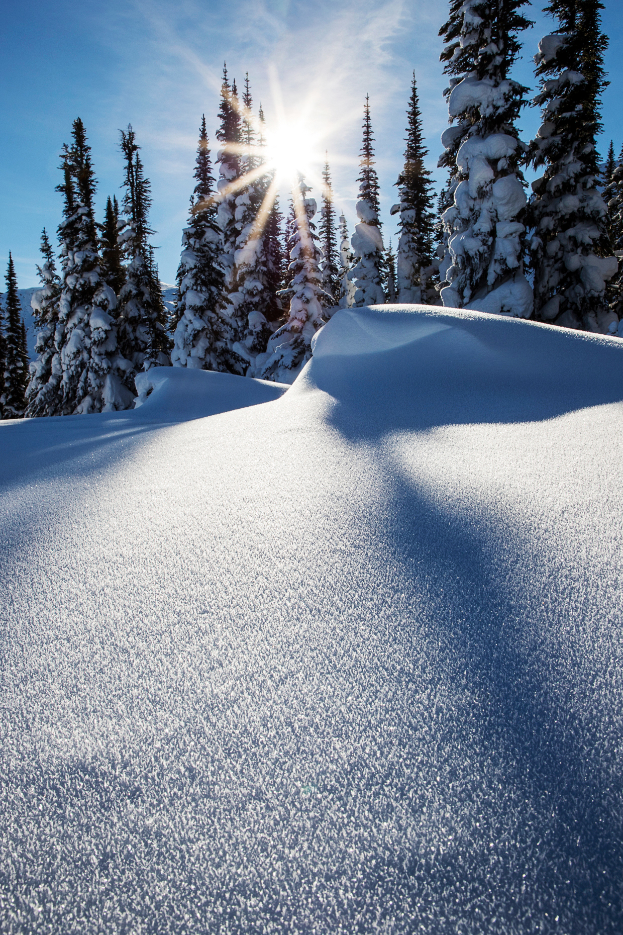Snowy winter landscape; Esplanade Range; Selkirk Range; British Columbia; Canada