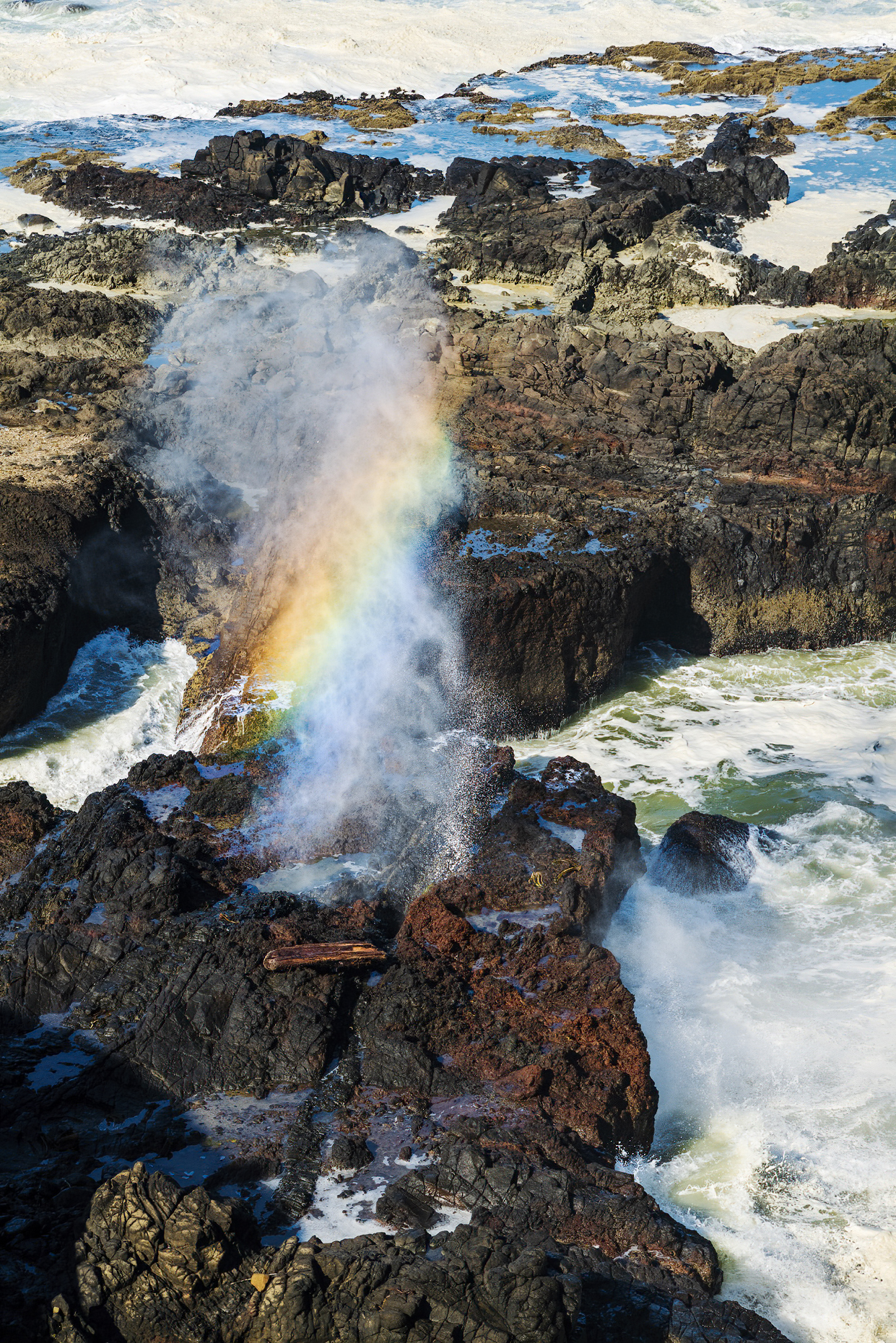 Prismatic rainbow in crashing waves; Devils Churn & Spouting Horn; Pacific Ocean; south of Yachats; Oregon, USA.