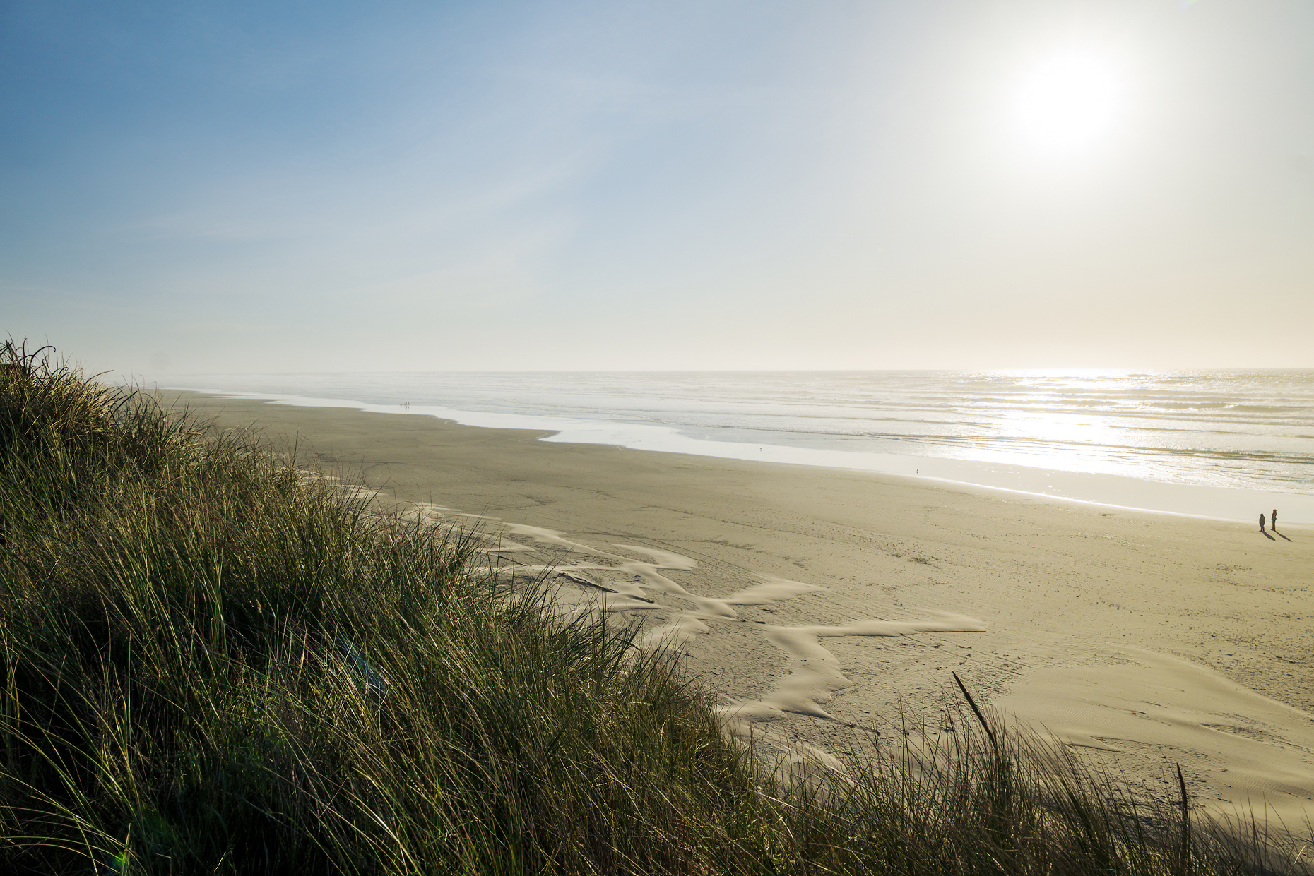 Sunset view south of dune grasses; waves & beach; Pacific Ocean; Newport; Oregon; USA