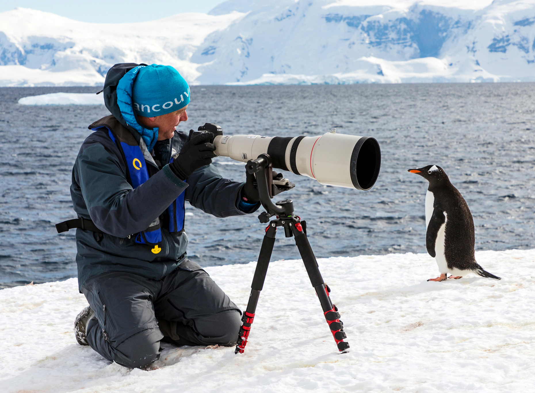 Photographer with huge telephoto lens capturing images of Long-tailed Gentoo penguins; Pygoscelis papua; Rongé Island; Arctowski Peninsula; Antarctica