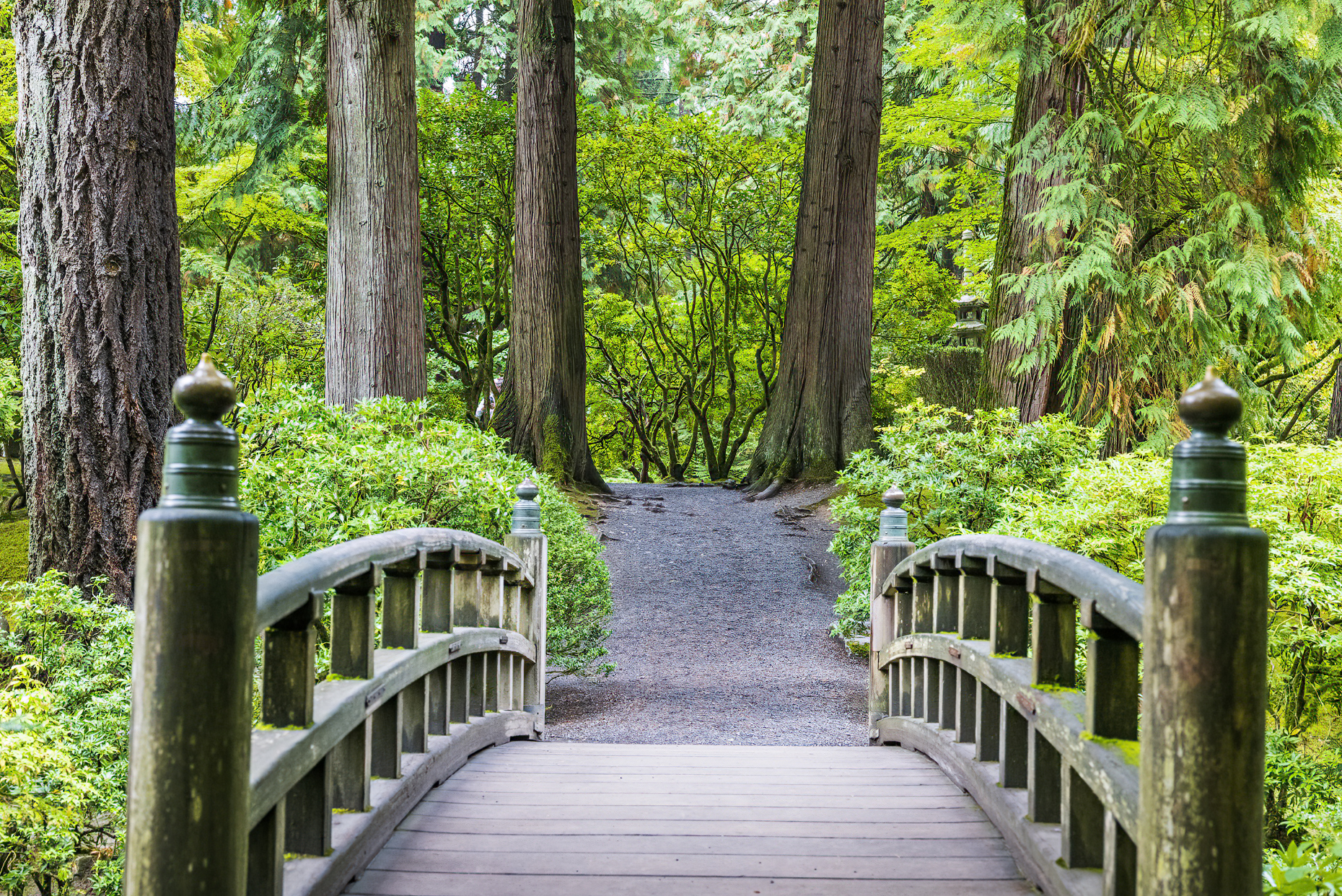 Wooden bridge over the Strolling Pond Garden; Portland Japanese Gardens; Portland; Oregon; USA