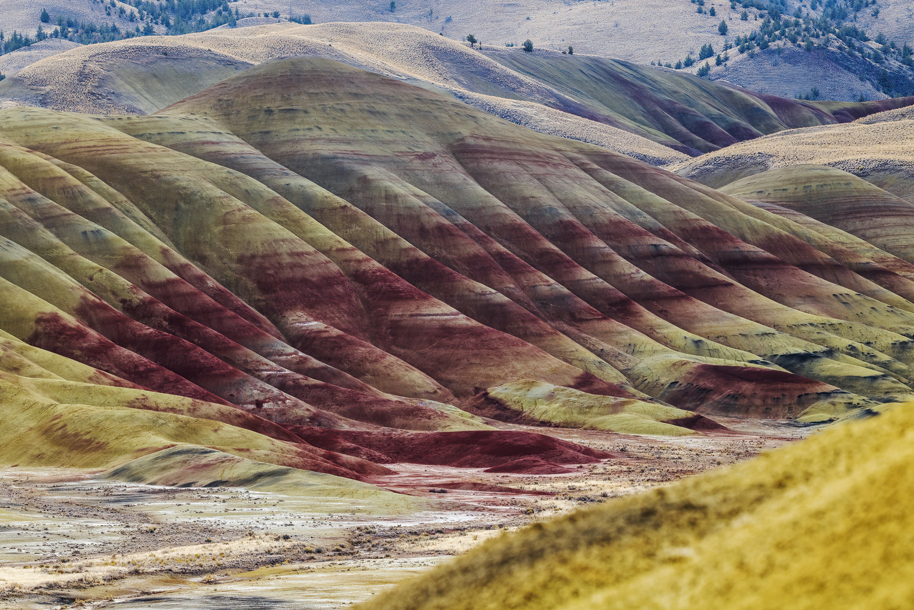 Painted Hills; geologic site; John Day Fossil Beds National Monument; near Mitchell; Oregon; USA