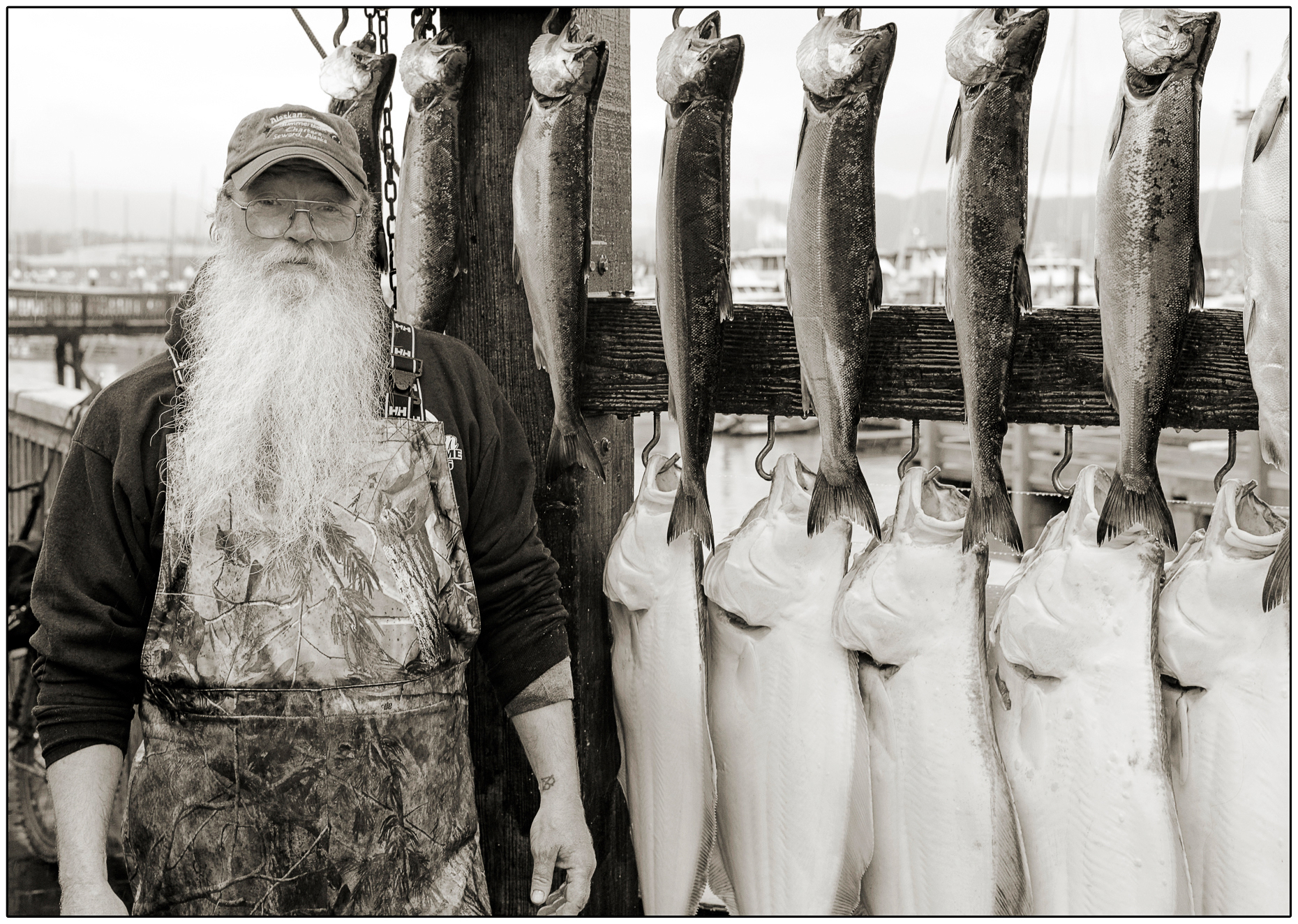 Black & white portrait of charter fishing boat captain with catch of the day, Seward, Alaska, USA