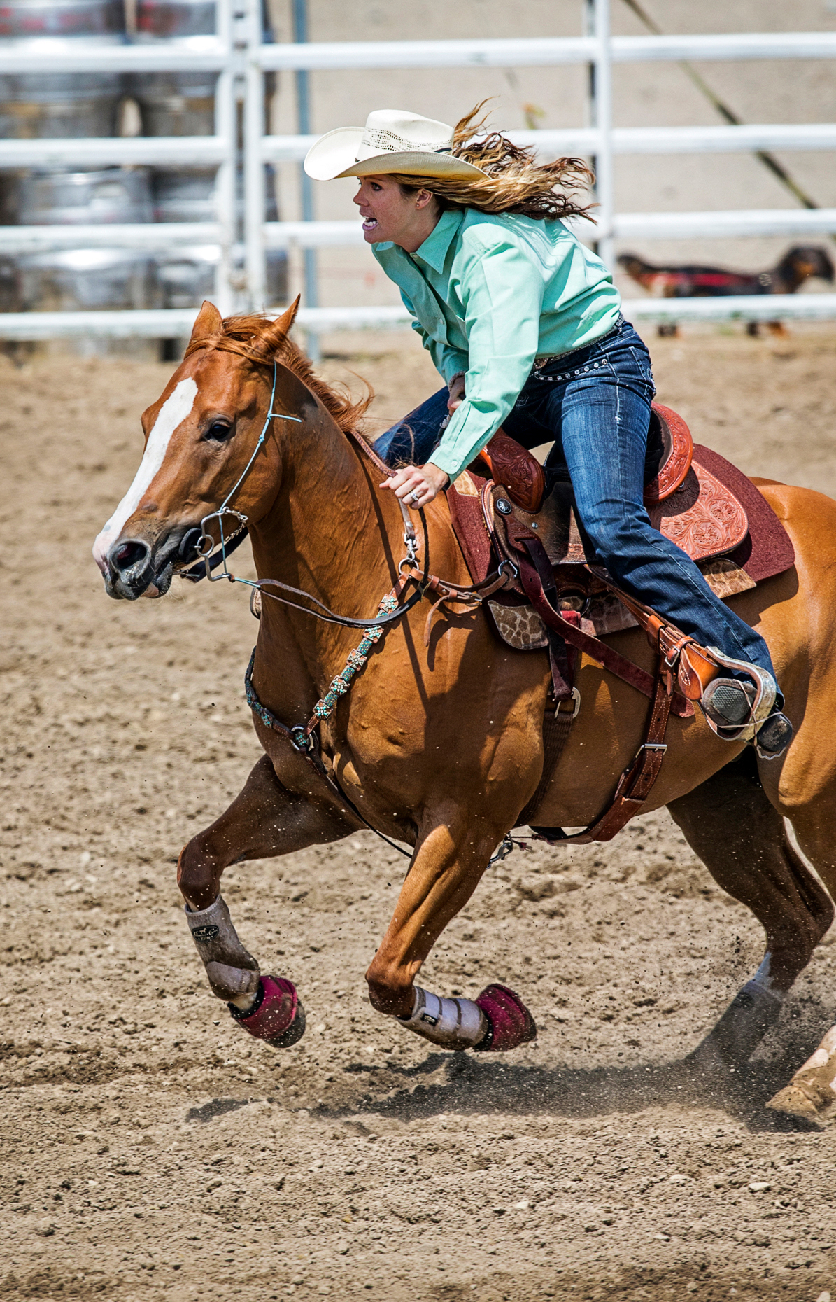 Cowgirl on horseback riding in the ladies barrel racing event, Chaffee County Fair & Rodeo