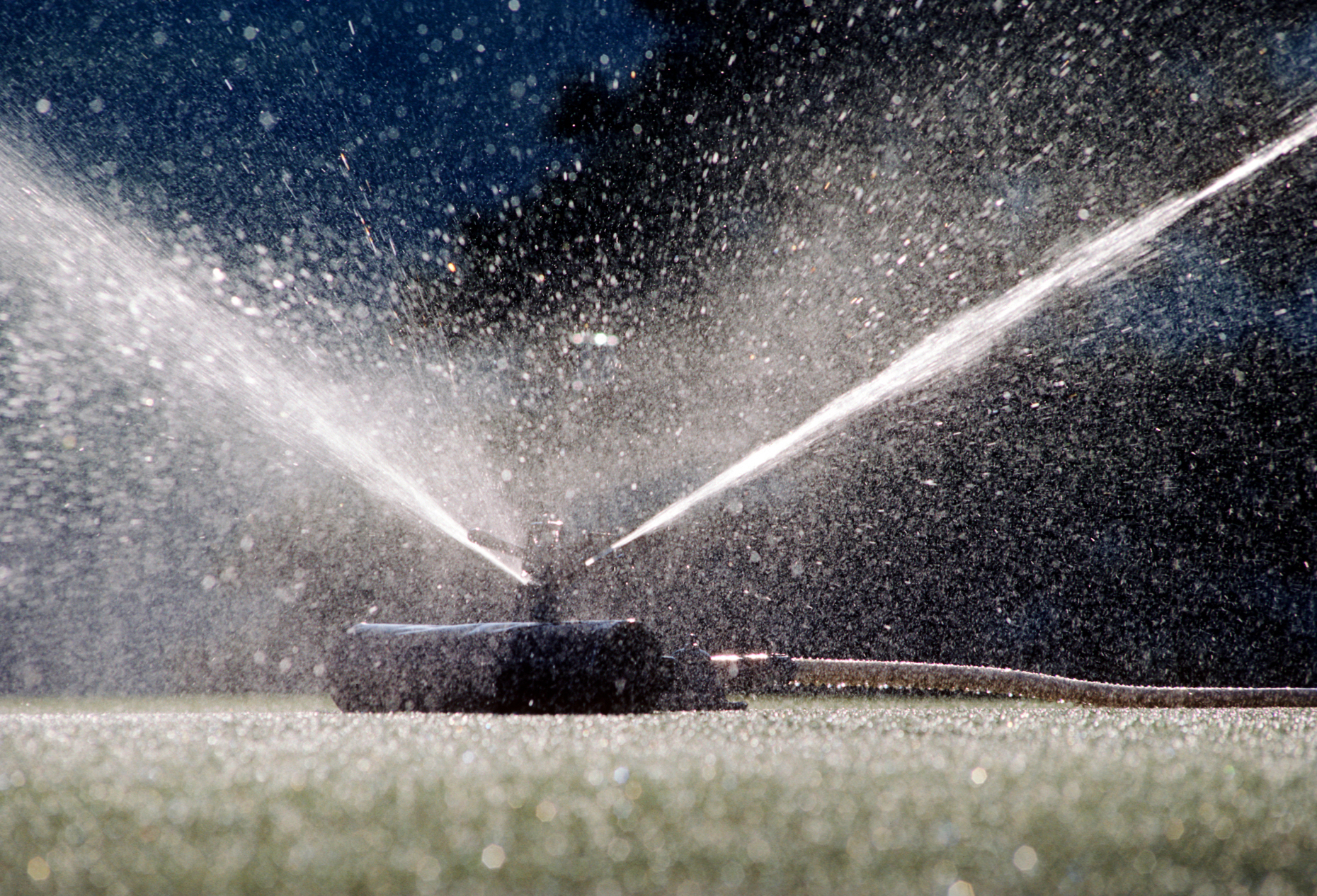Commercial sprinkler irrigating golf course green; Kentucky; USA