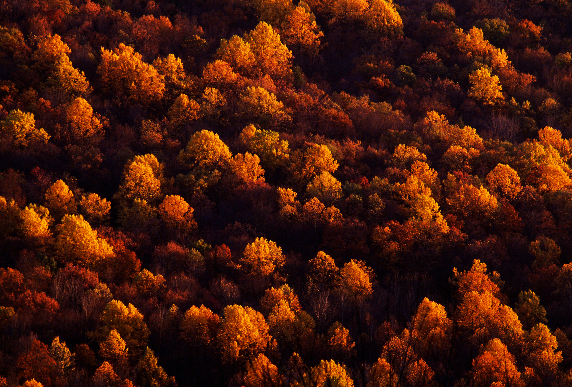 FALL COLORS ON KITTATINNY MOUNTAIN VIEWED SOUTH FROM RT 611 NEAR STROUDSBURG, POCONO MOUNTAINS, PENNSYLVANIA, USA