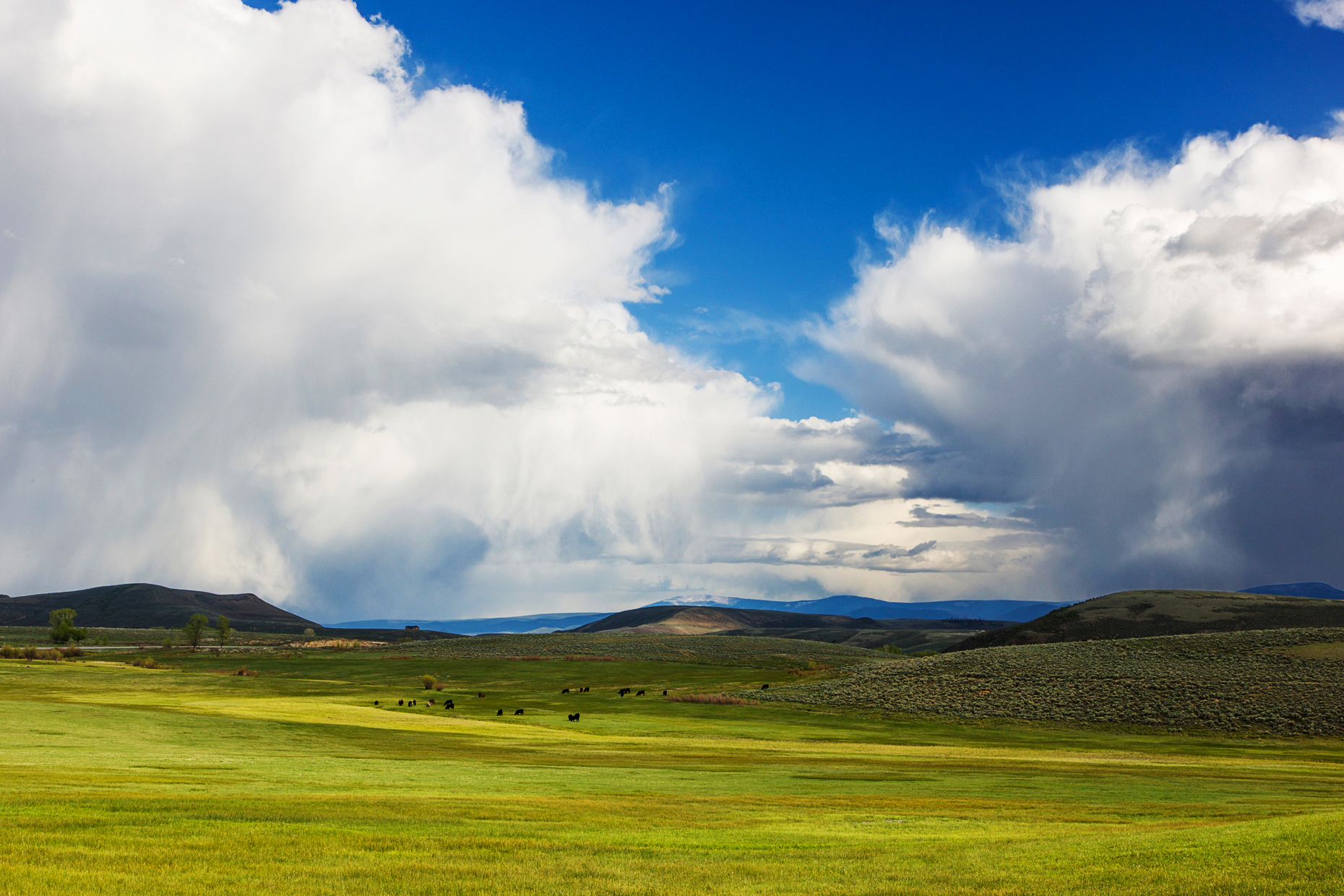 Springtime view southeast of ranchland towards the Sawatch Range of mountains and clearing stormy skies, taken from between Gunnison and Parlin, Colorado, USA