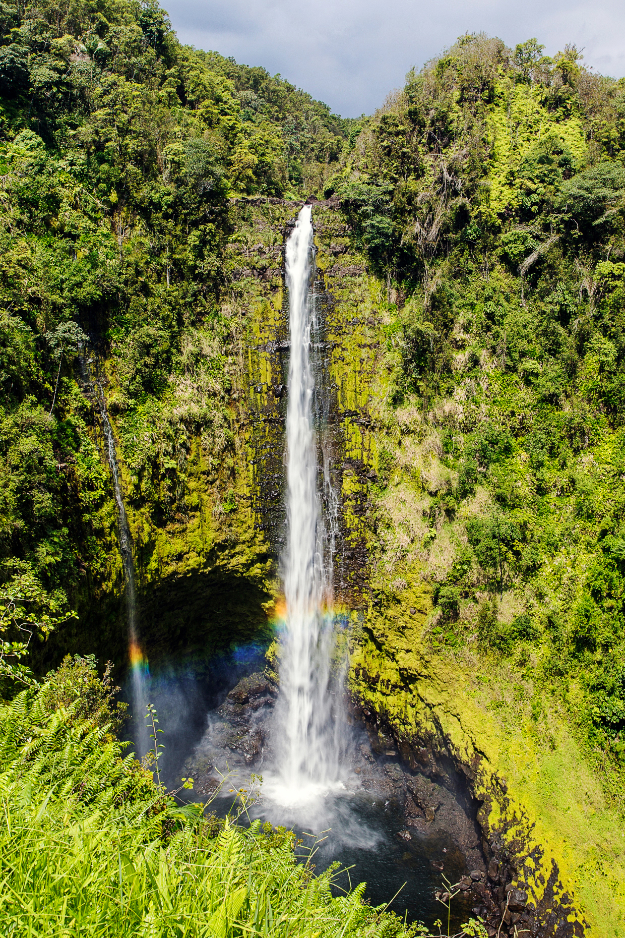 Rainbow, Kolekole Stream, ʻAkaka Falls, ʻAkaka Falls State Park, 422 feet (129 m) tall waterfall, Hawaii, USA