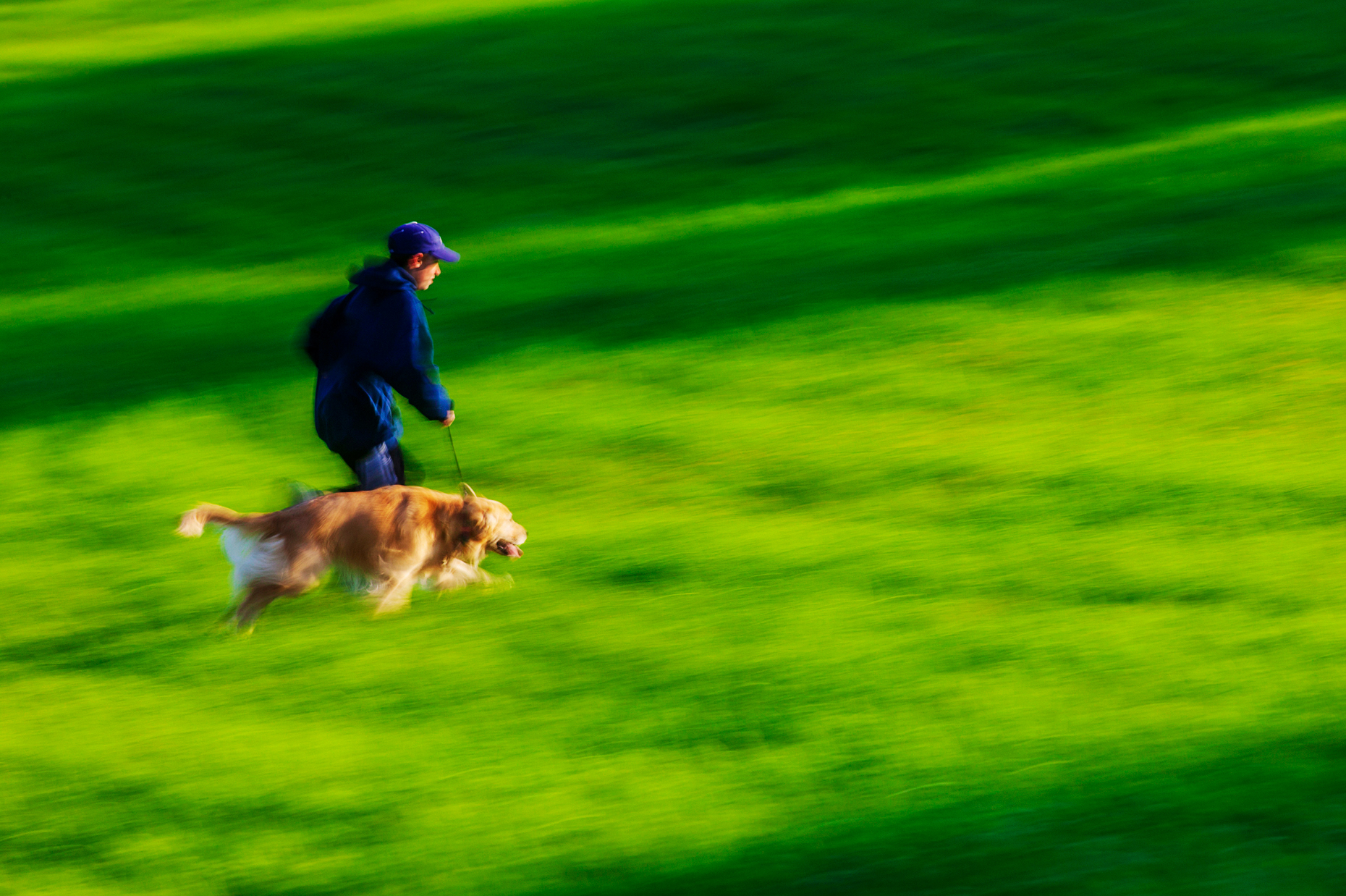 Teenage boy running with his Golden Retriever dog in the green g