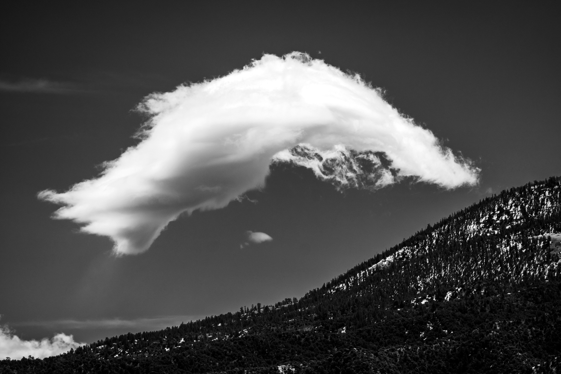 Black & white of unusual cloud formations against clear cobalt b