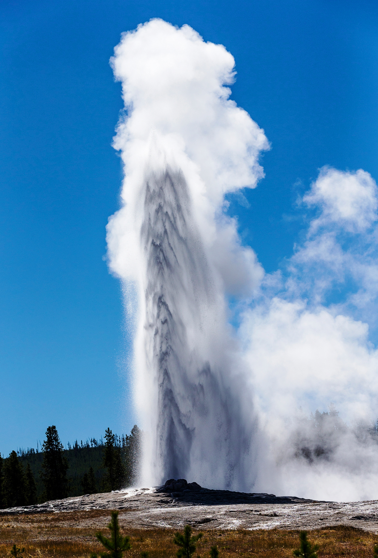 Old Faithful; geyser; Yellowstone National Park; Wyoming; USA