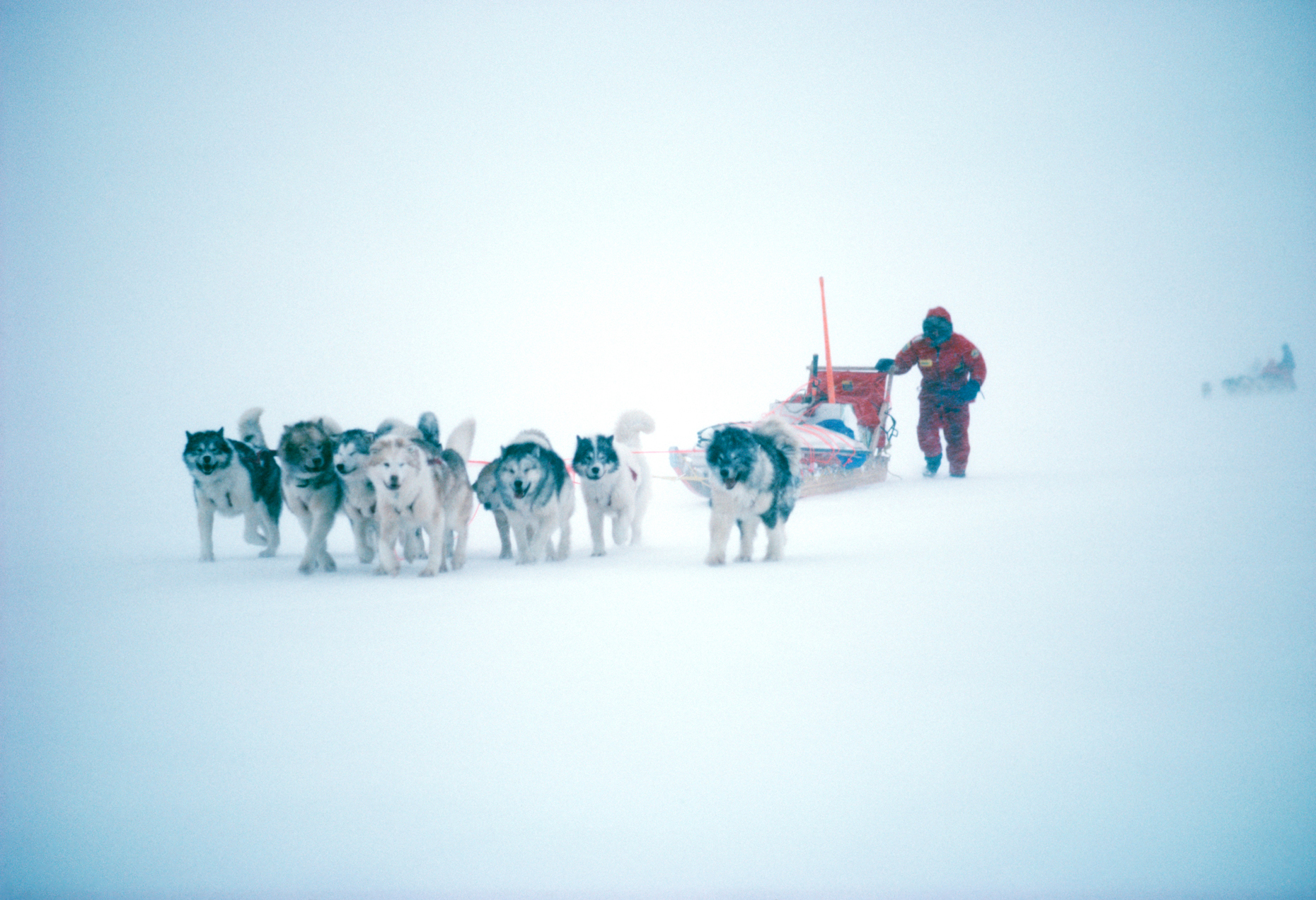 Dogsled team and musher training in harsh winter conditions for an unsupported expedition to the North Pole.