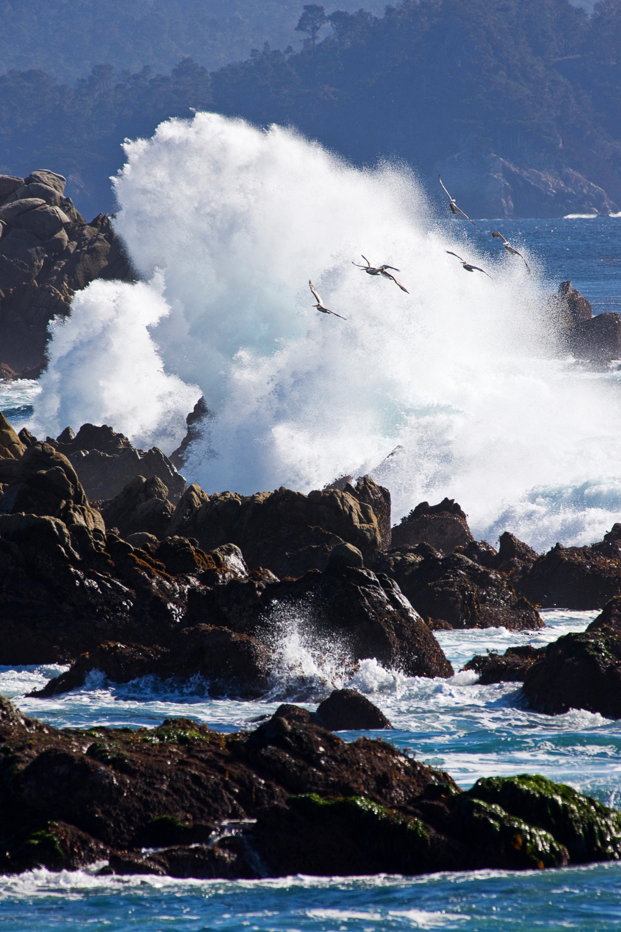 Pacific Ocean waves crashing ashore at Cypress Point Lookout, Pebble Beach, Monterey Peninsula, California, USA