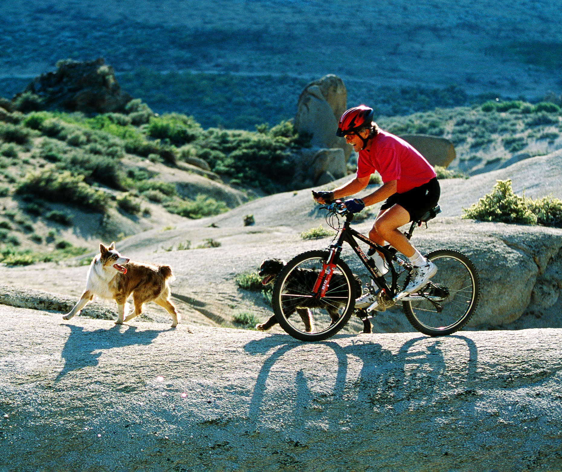 Middle aged man riding a mountain bike in the Eastern Sierra Mou