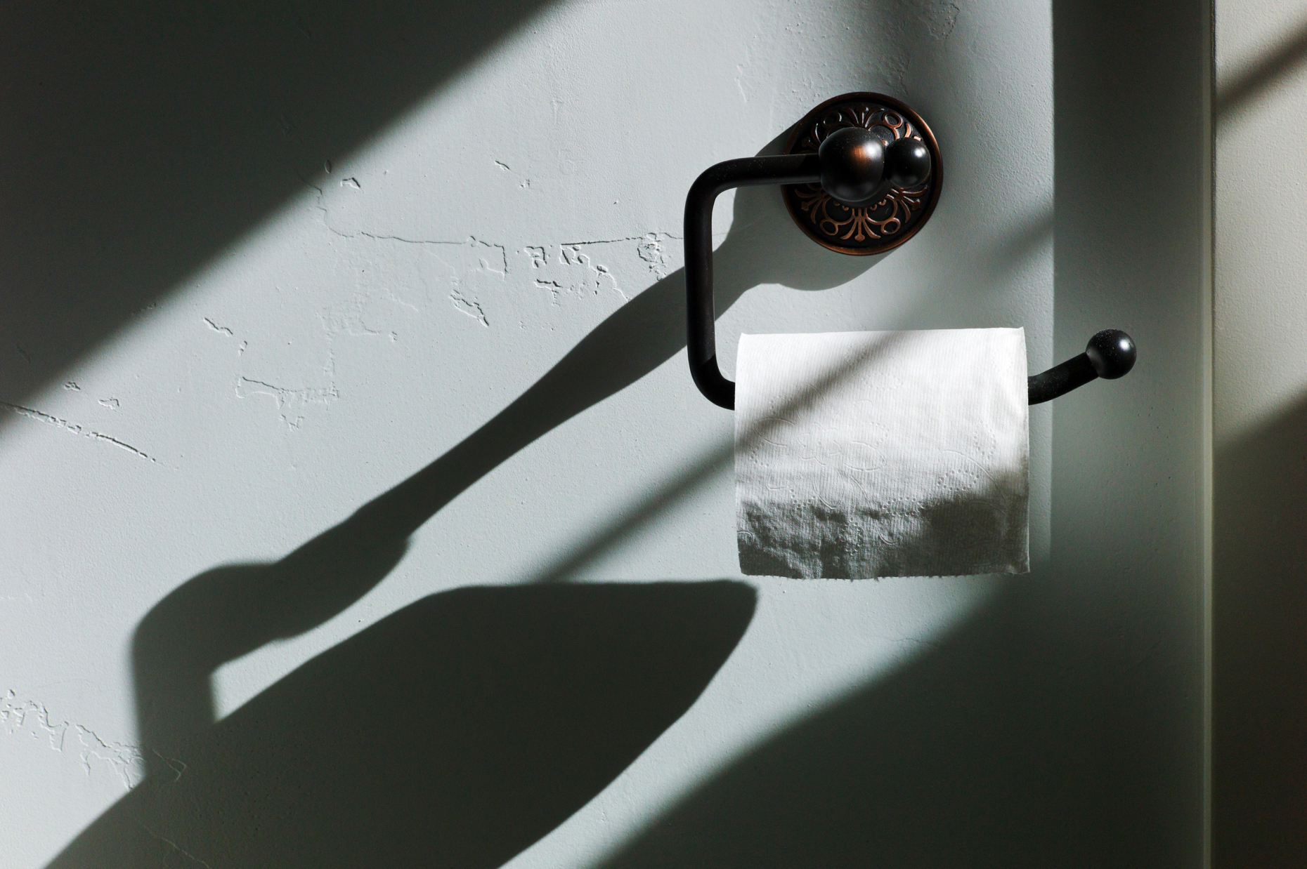 Close up photograph of sun and shadows on a roll of toilet paper in a bathroom