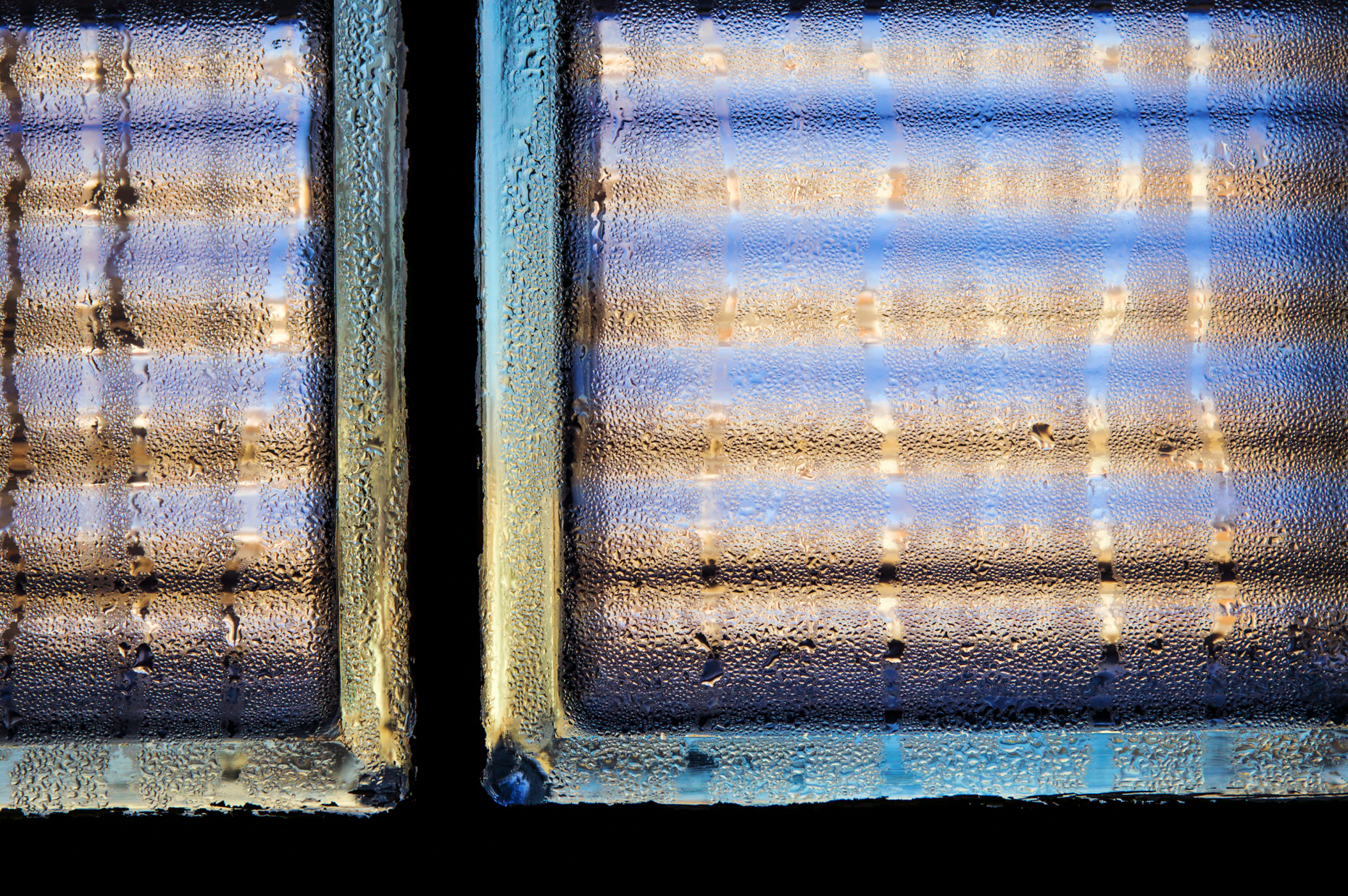 Condensation on a glass block window creates an interesting pattern
