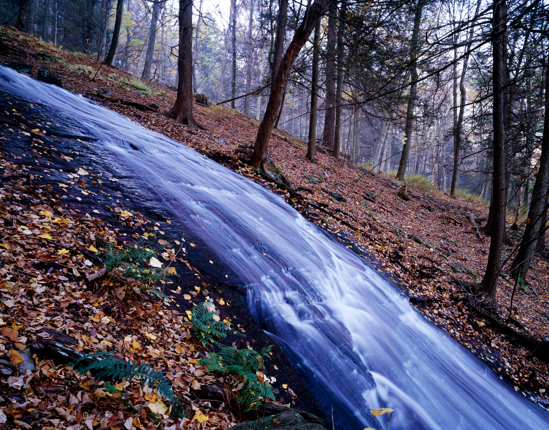 LAUREL FALLS IN AUTUMN, WORTHINGTON STATE FOREST, NEW JERSEY, US