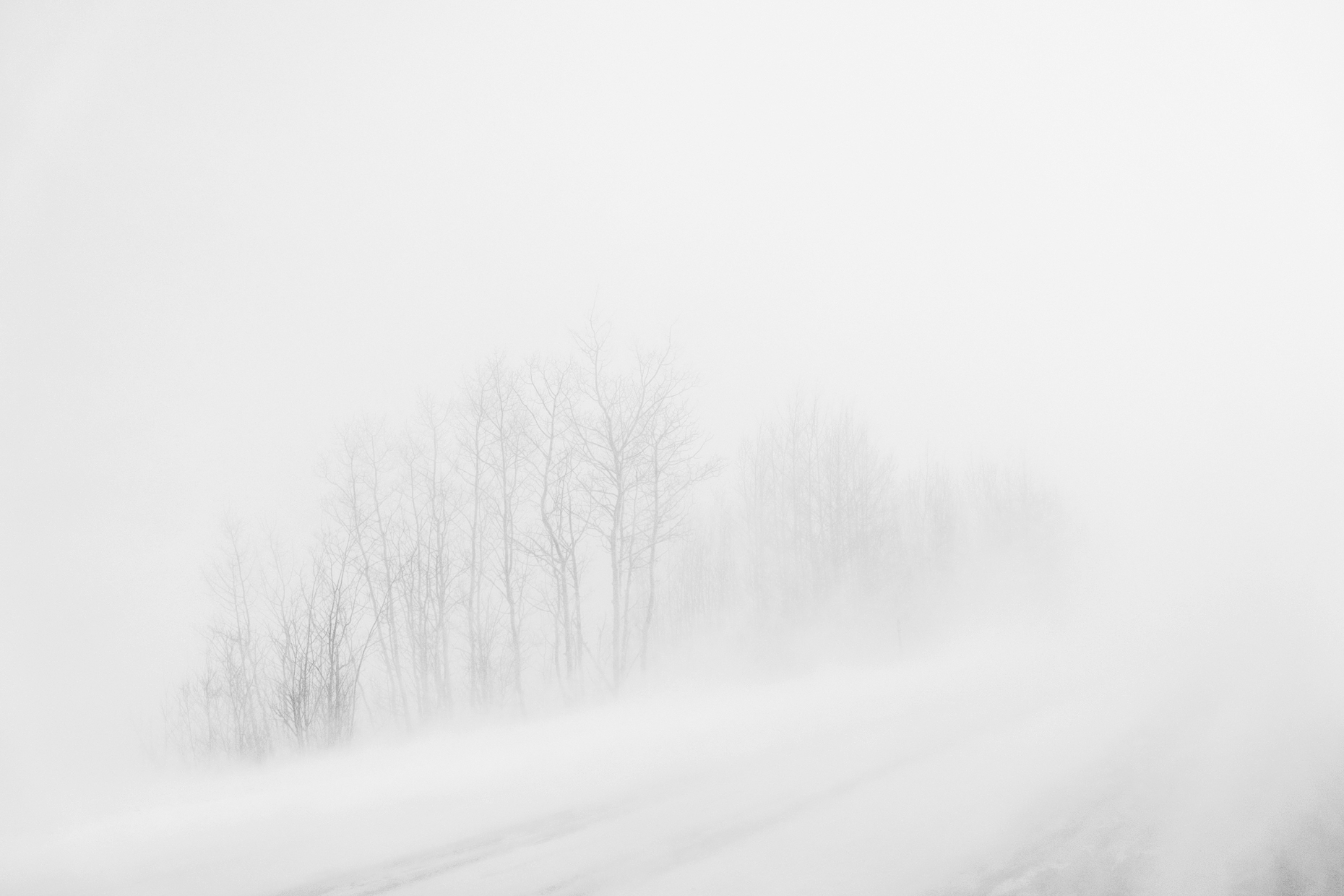 Black & white windshield view of hazardous snow blizzard on highway 285; Park County; Colorado; USA