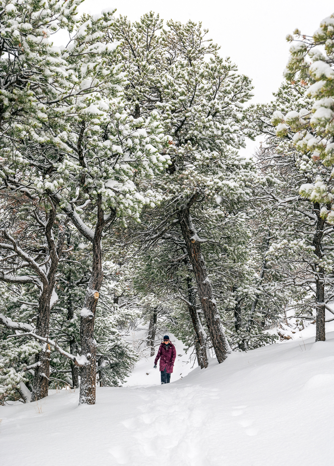 Lone woman hiking in winter snowstorm; Little Rainbow Trail; Sal