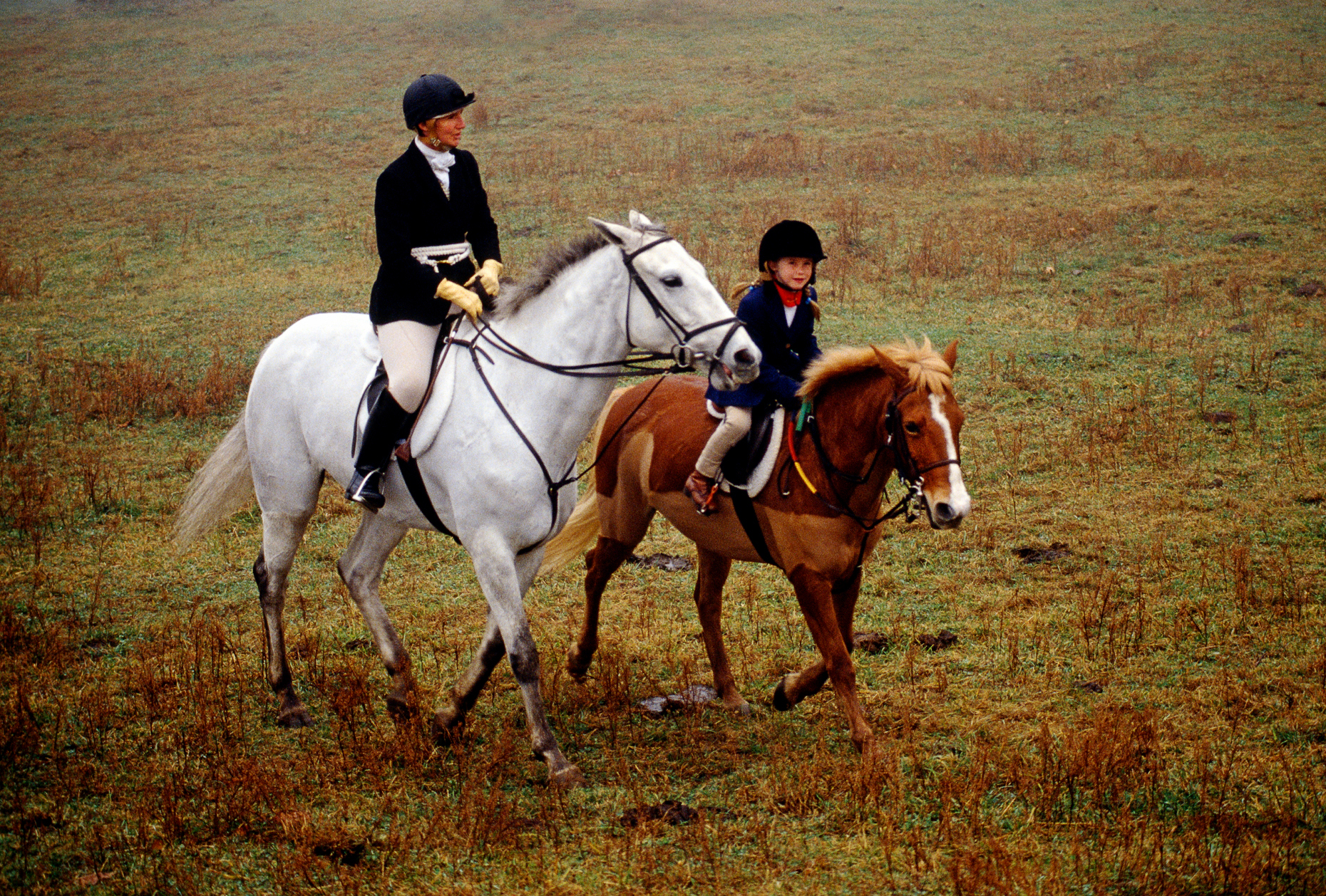 FOX HUNTING ON HORSEBACK, RUNNYMEADE FARM, CHESTER COUNTY, PENNSYLVANIA, USA