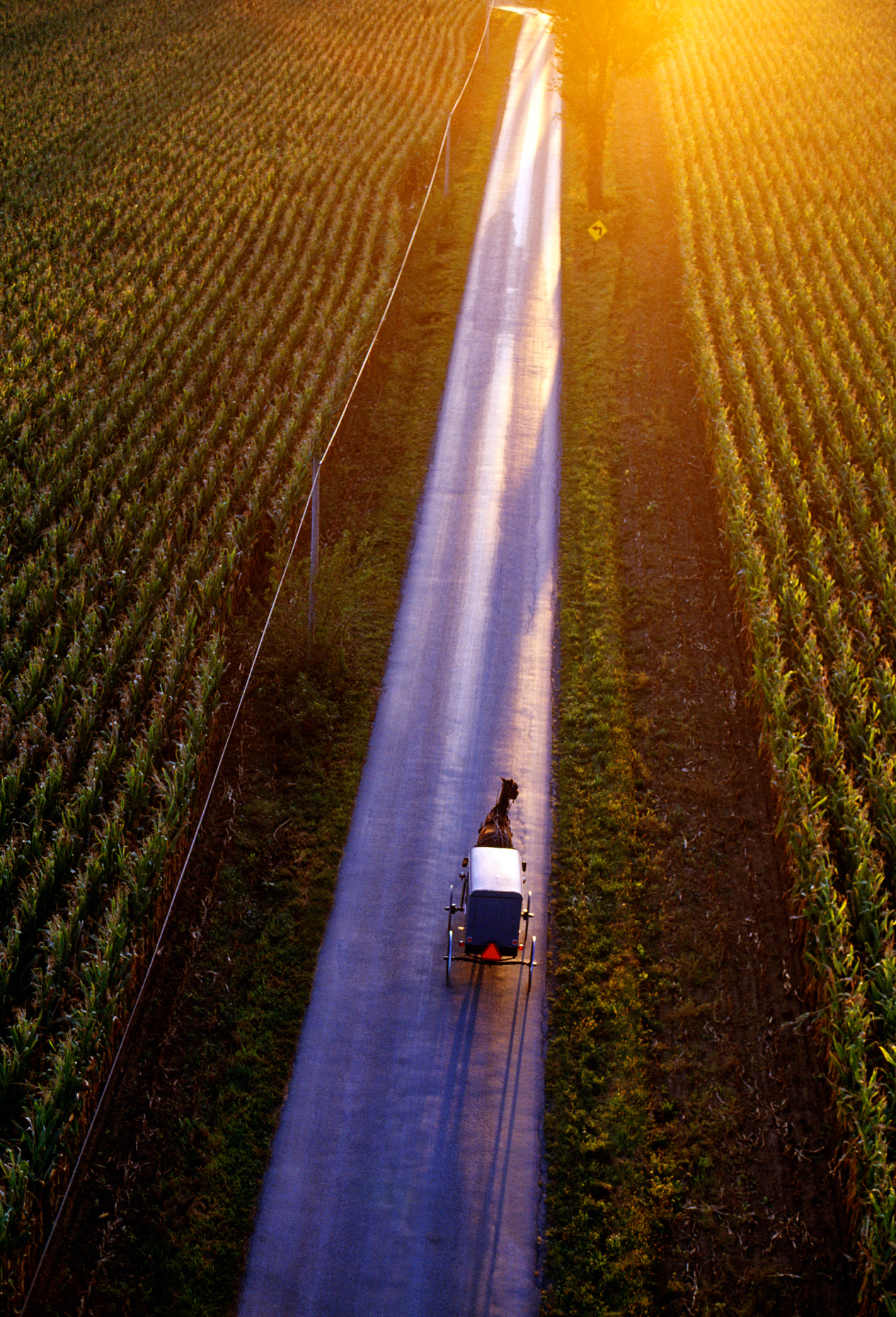 Aerial view of Amish horse drawn buggy on a rural road at sunset, Lancaster County, Pennsylvania, USA