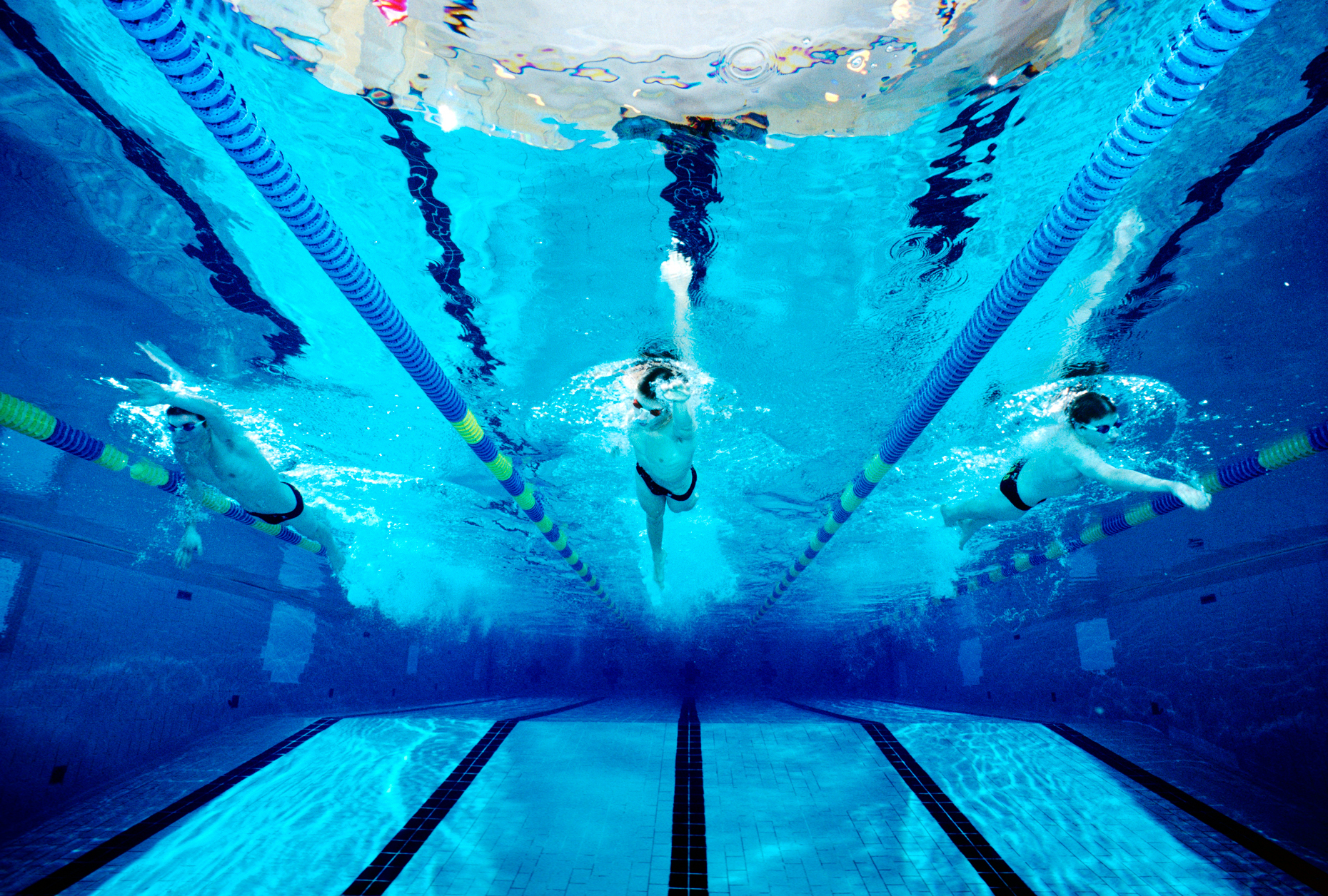 Underwater photograph of a boys high school swim team practicing