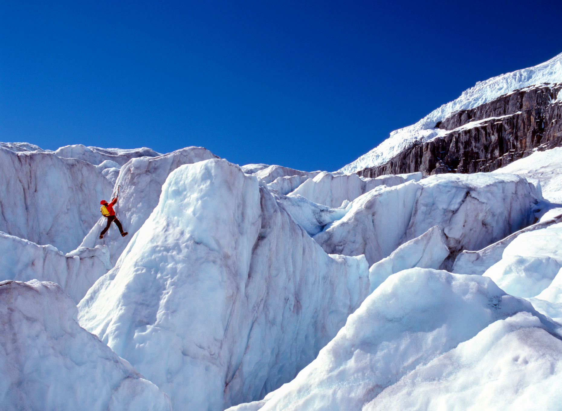 Ice climber on the Columbia Icefield (325 sq. km), Jasper Nation