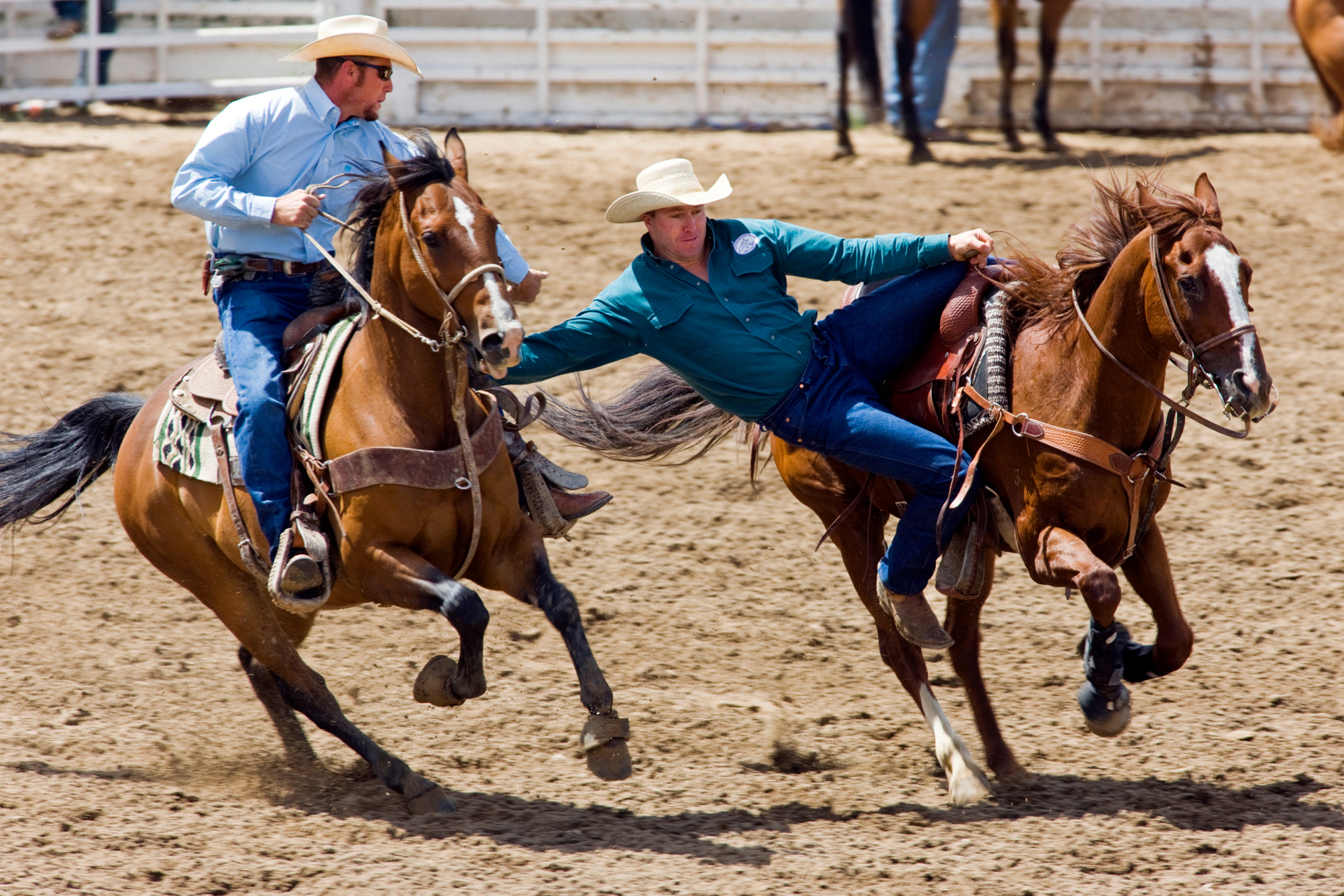 Cowboy riding in the steer wrestling event, Chaffee County Fair & Rodeo