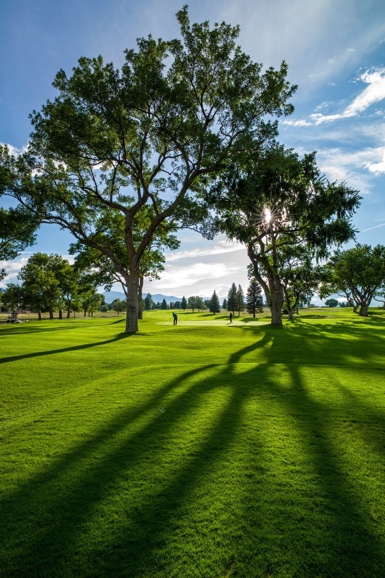 Backlit view of late afternoon light on lush nine hole Salida Golf Course
